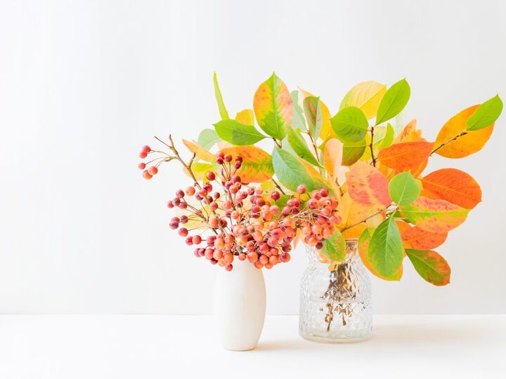 11月8日(土)今日は突破力のあるハッピーデー!とくに午後、この交渉がうまくいきます!