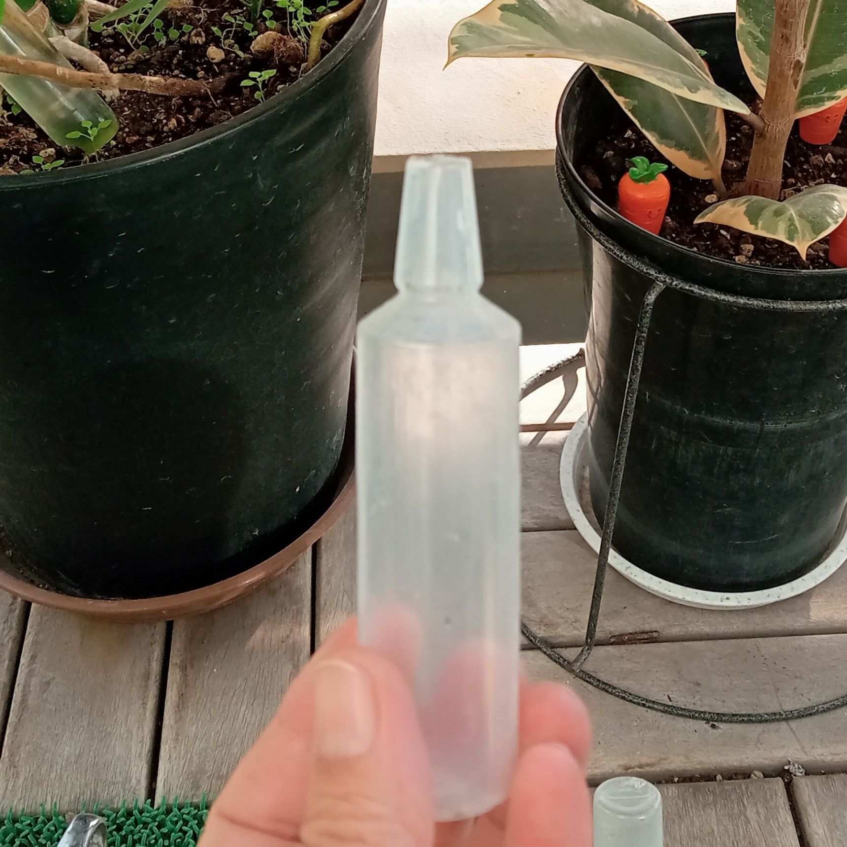 上の部分を根っこのサイズにカット