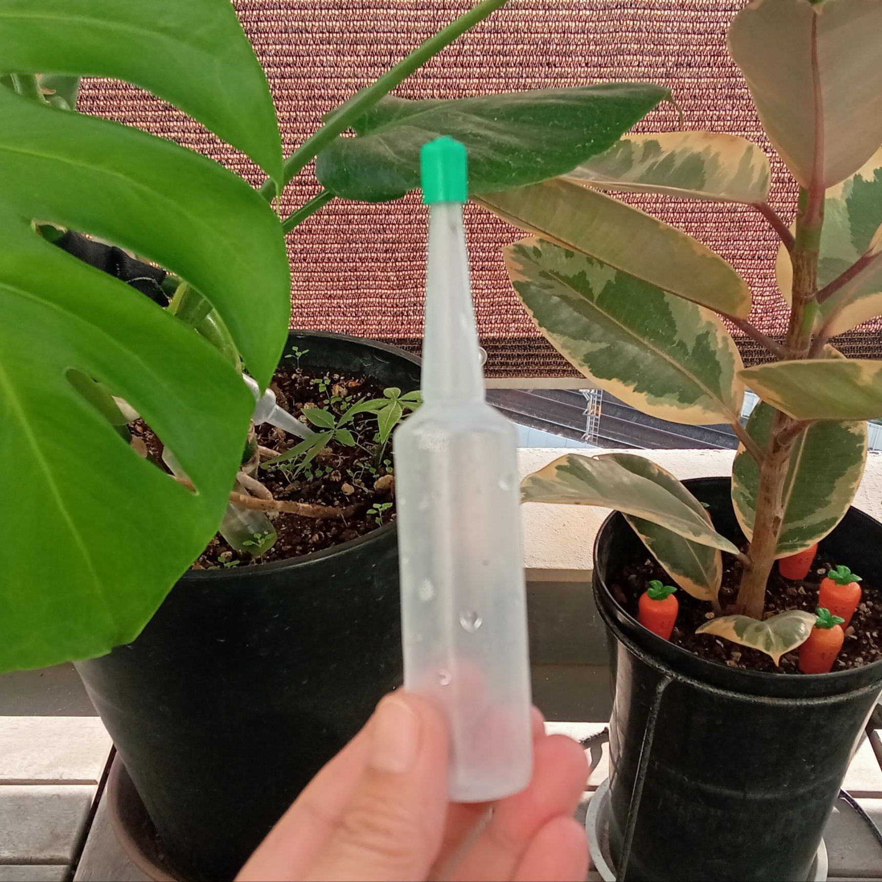 ハイポネックスの空容器を使用