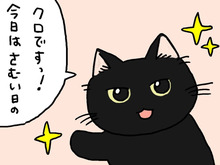 こたつバーは今日も満席です。【てらねこミー子の日常】