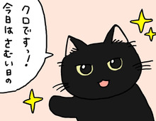 こたつバーは今日も満席です。【てらねこミー子の日常】