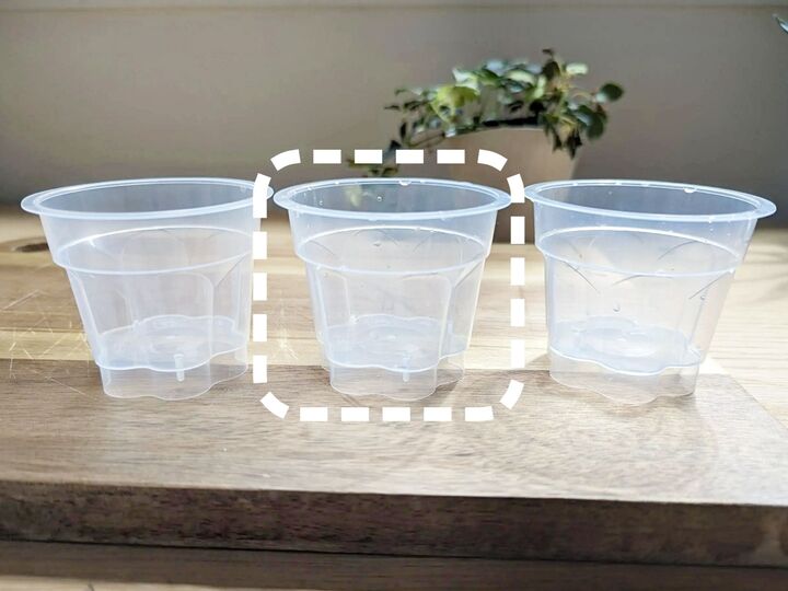 3個パックの『プッチンプリン』のカップ、実は優秀すぎた…!捨てる前に試したい便利でユニークな使い道♪