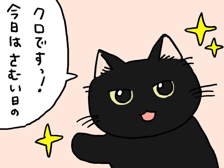 こたつバーは今日も満席です。【てらねこミー子の日常】