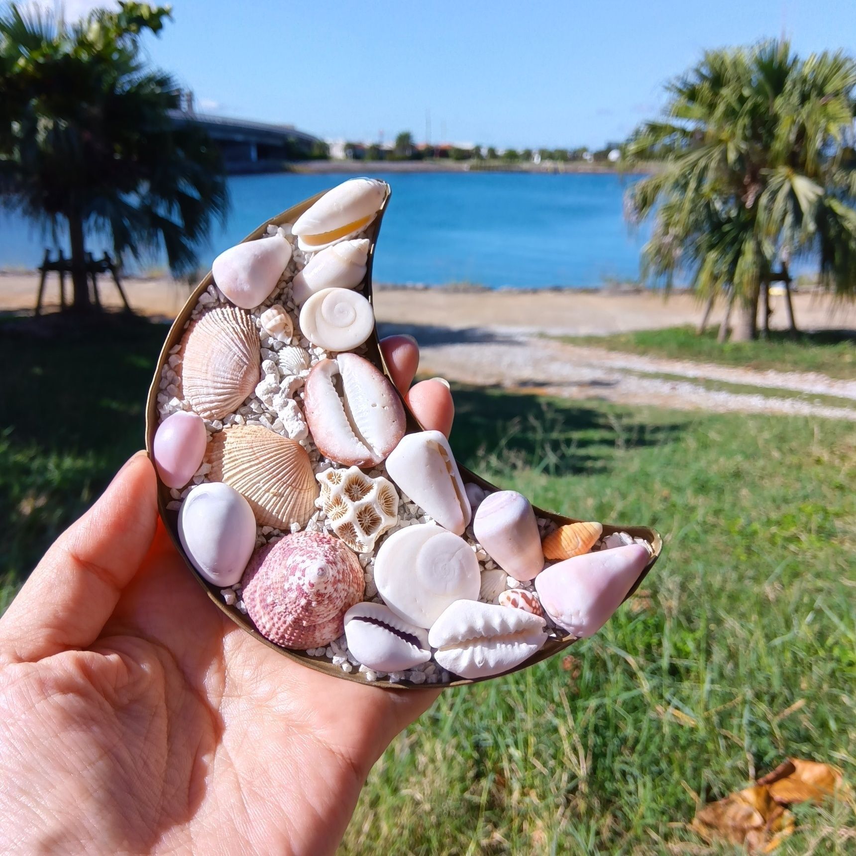 完成したら、海まで撮影に