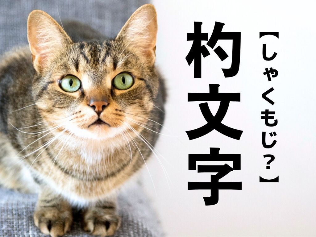【杓文字】なんて読む？「しゃくもじ」ではありませんが、かなり惜しい…！！【読めそうで読めない漢字クイズ】
