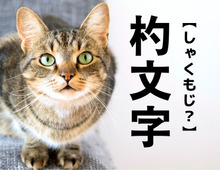 【杓文字】なんて読む？「しゃくもじ」ではありませんが、かなり惜しい…！！【読めそうで読めない漢字クイズ】