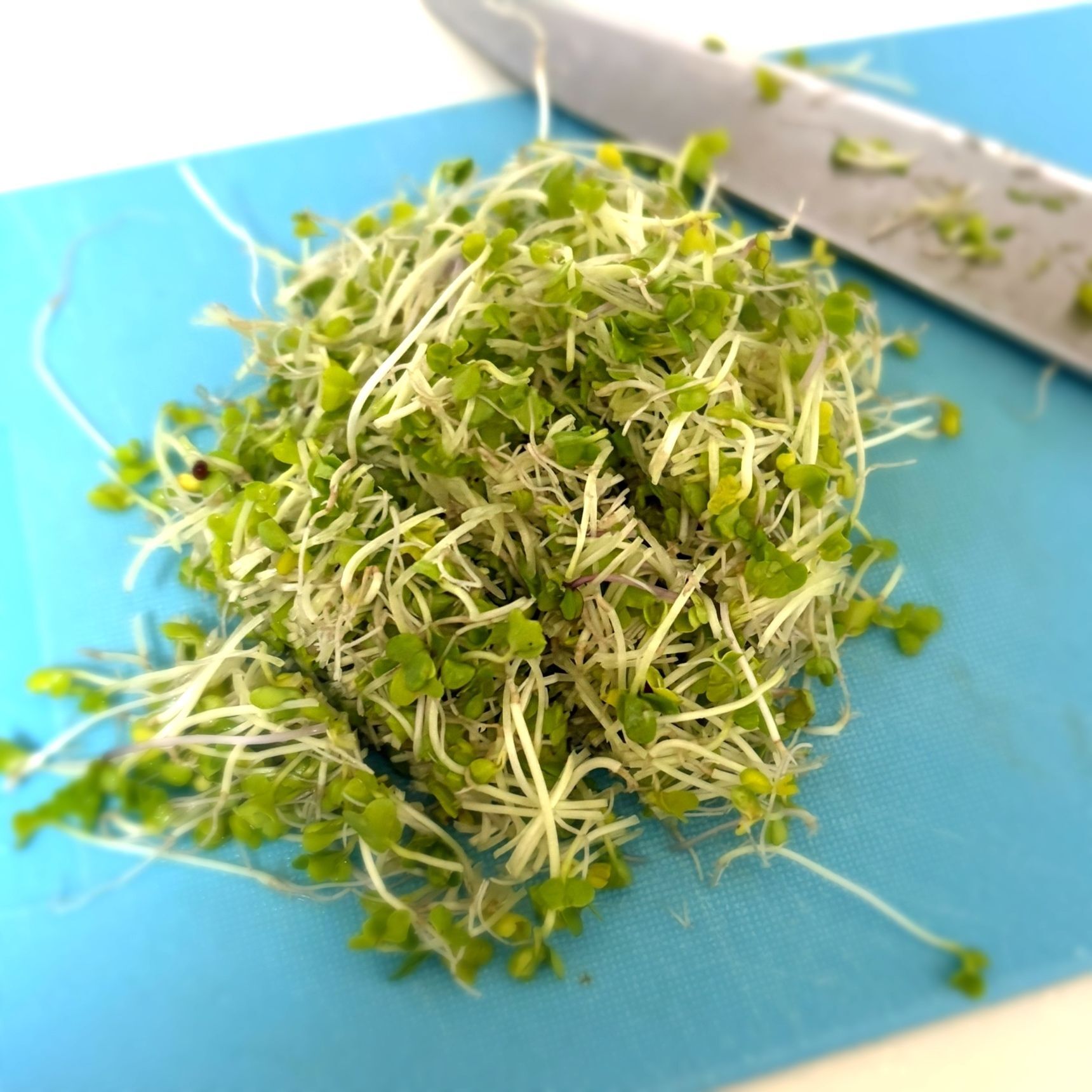 細かく刻みます