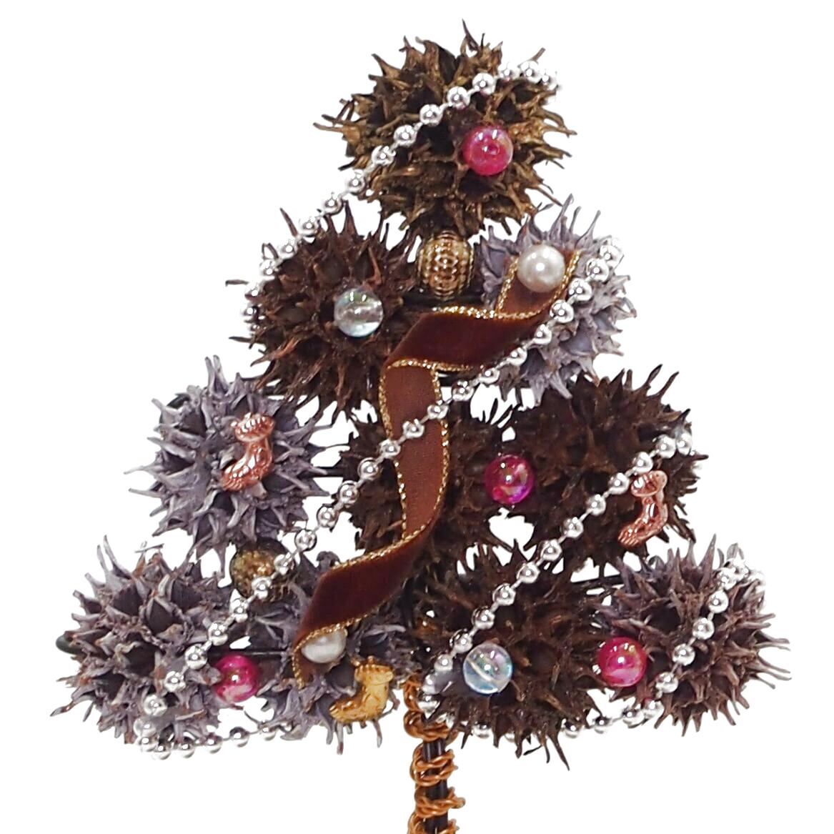 ズームします～  キュートになりました！！！