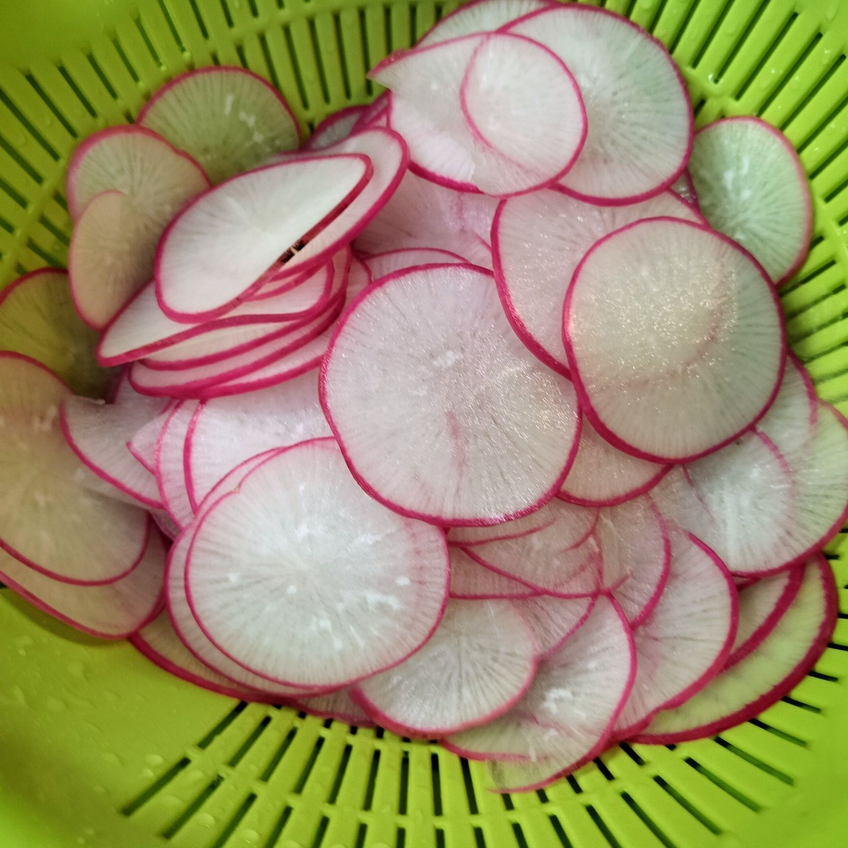 1、レディサラダを薄切りする→材料●を加えて漬け込む（30分程）