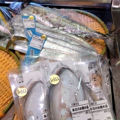 イカと太刀魚