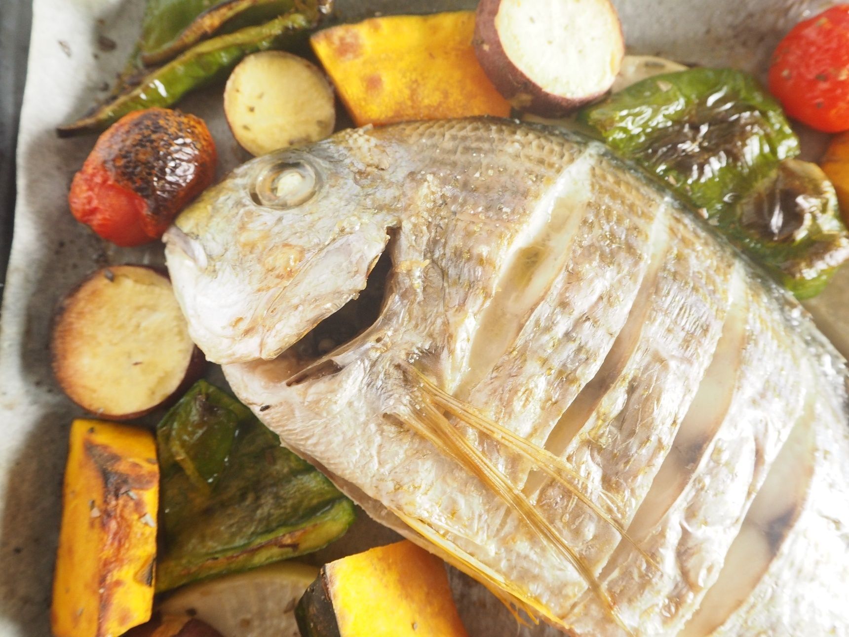 天然魚を調理せよ！相模湾のお魚と秋の野菜と