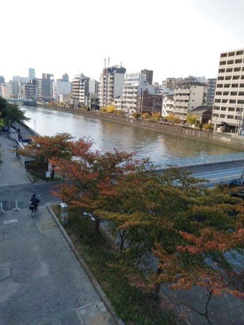 紅葉の見ごろも近い