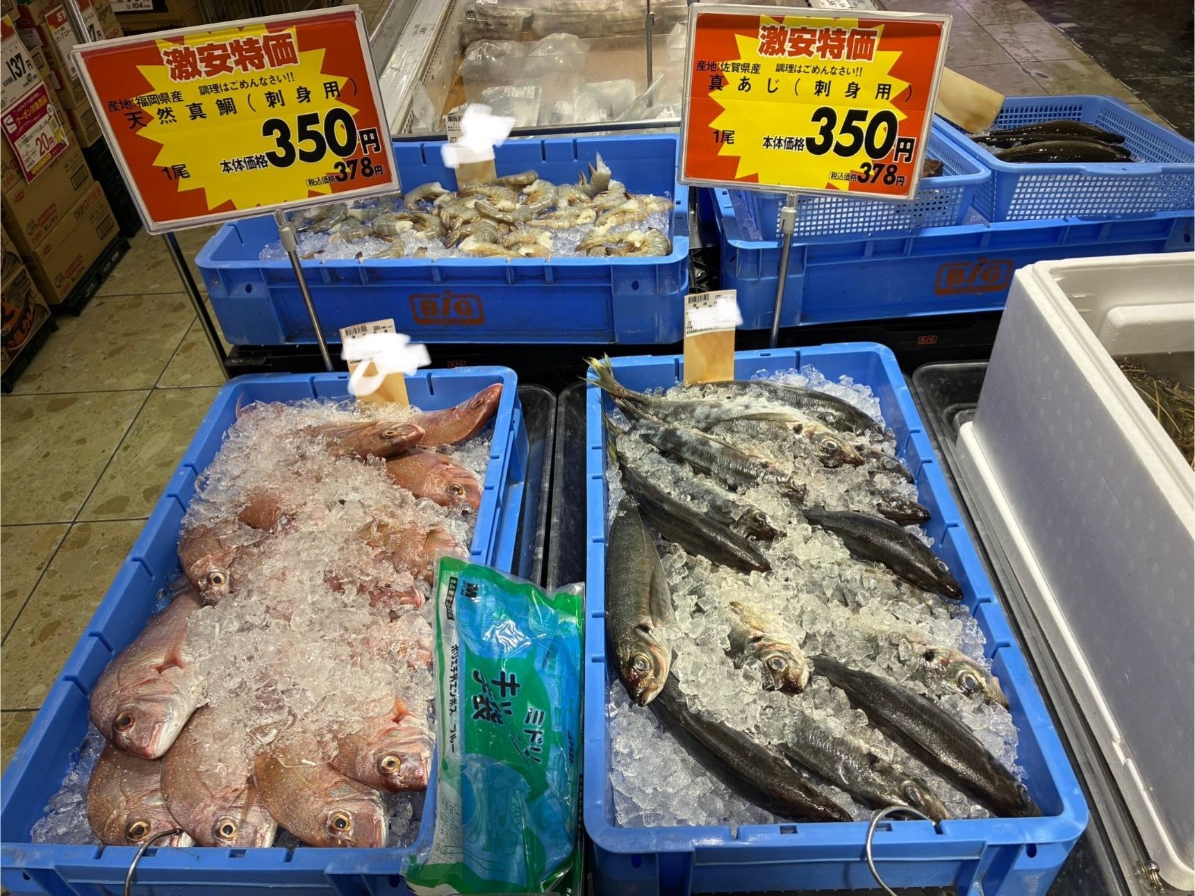 そんな玄界灘に面した福岡で出会える天然魚！