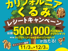 【総額50万円】レシート応募でギフトが当たるキャンペーンがスタート！〈ひとつかみで必要量〉くるみの健康パワーに注目だ～♪