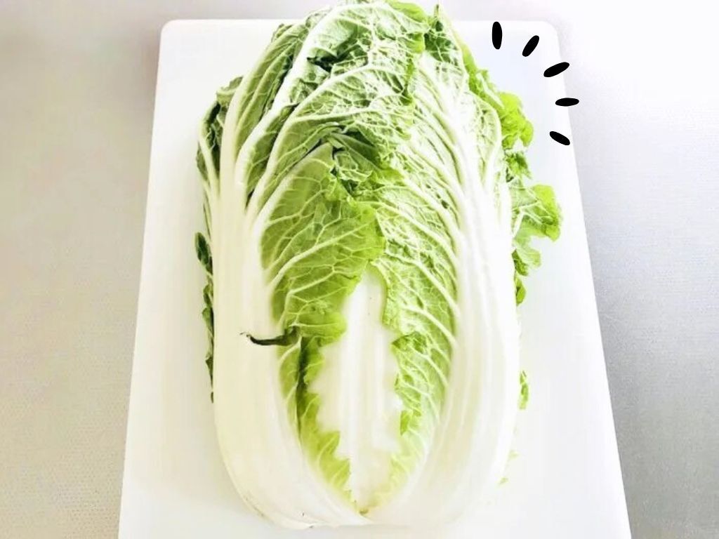 切り込みを入れるだけで…？大きな白菜を気持ちいいほどラク～に分ける裏ワザ。一度やったらやみつきだ♪
