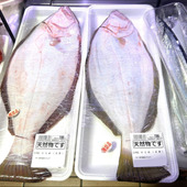 ご近所で「天然魚」を探せ！あんまり気にしてなかったけど意外と…