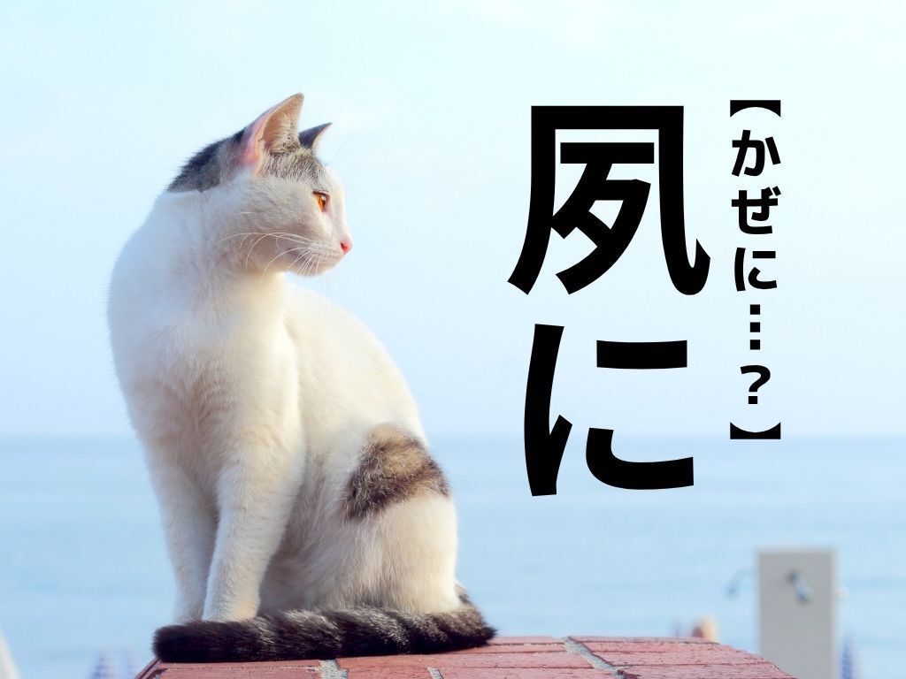 【夙に】なんて読む？「風」や「凪」に似ていますが…「かぜ」でも「なぎ」でもありません【難読漢字クイズ】