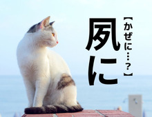 【夙に】なんて読む？「風」や「凪」に似ていますが…「かぜ」でも「なぎ」でもありません【難読漢字クイズ】