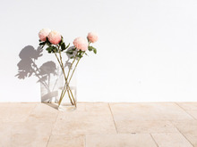 11月20日（木）今日は「重なる」の警戒日！コレをするのは細心の注意が必要です