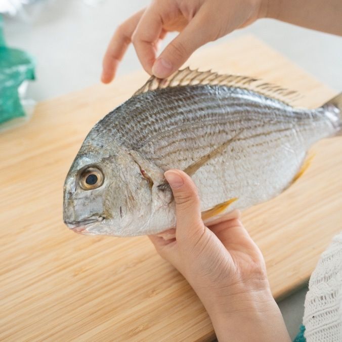 相模湾で朝獲れた新鮮な魚が到着！