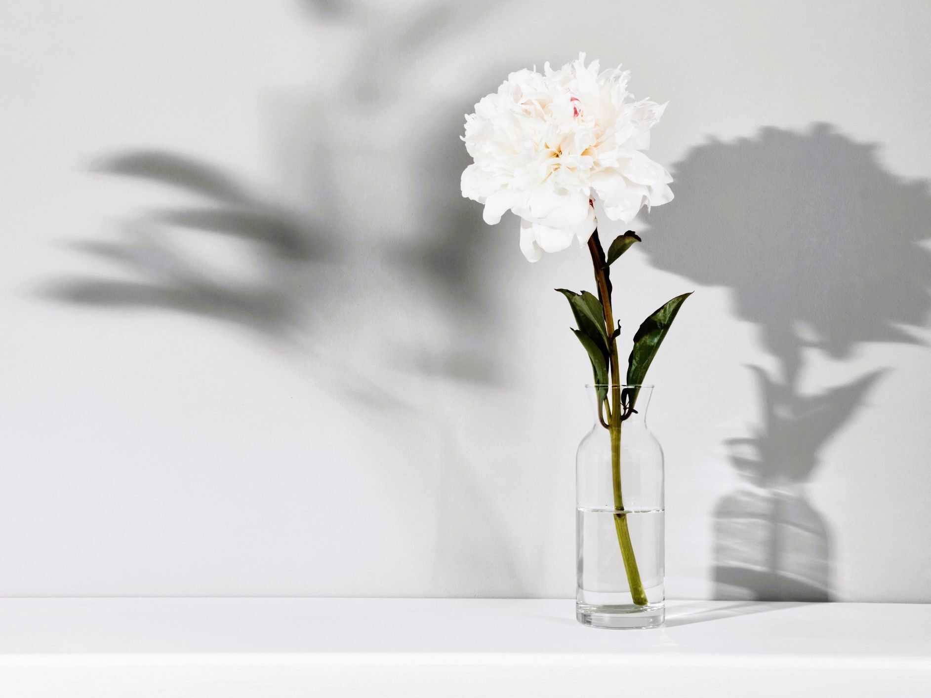 11月17日（月）今日は2つの不運が重なる要注意日！何かするなら、必ずこの時間帯を選んでください