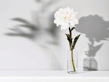 11月17日（月）今日は2つの不運が重なる要注意日！何かするなら、必ずこの時間帯を選んでください