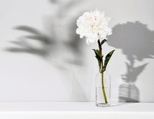 11月17日（月）今日は2つの不運が重なる要注意日！何かするなら、必ずこの時間帯を選んでください