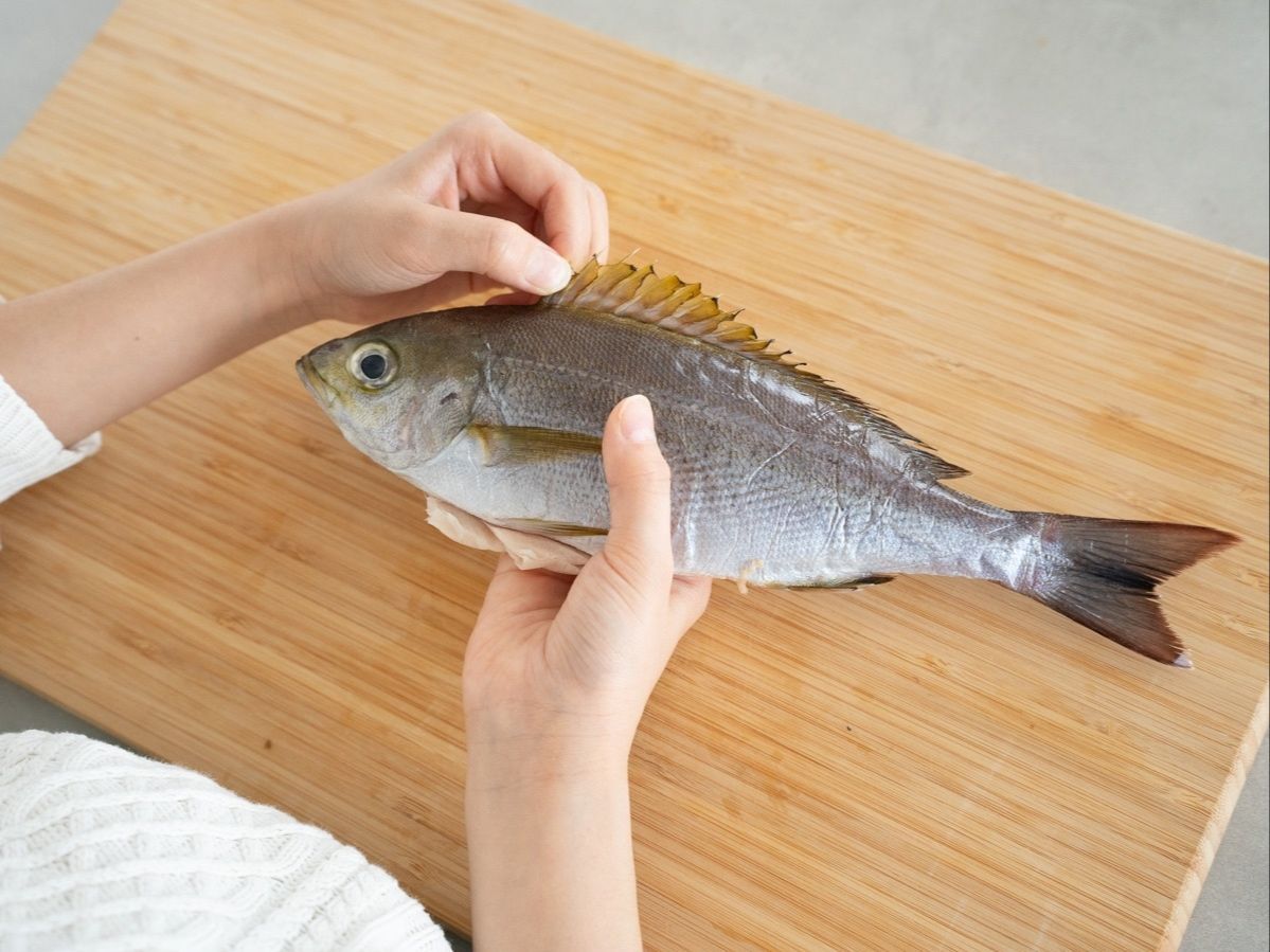 「いさき」もピン！