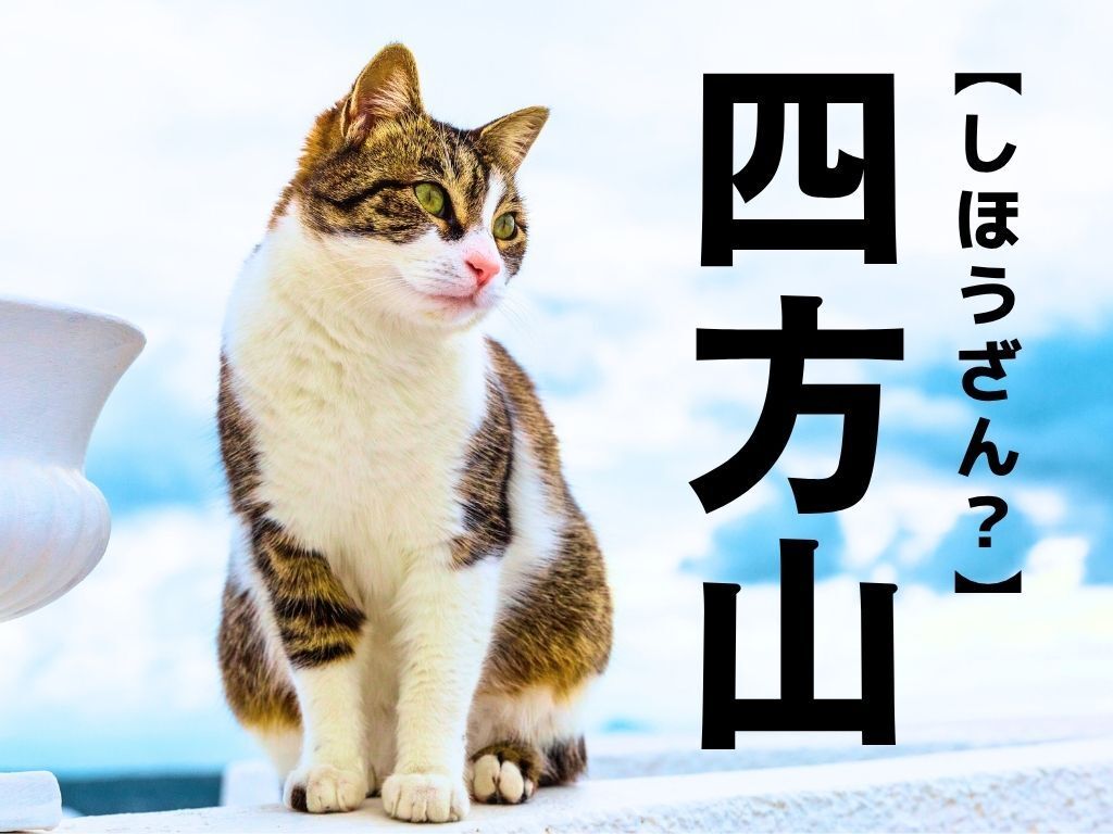 【四方山】なんて読む？「しほうざん…？」ではありませんよ！【読めそうで読めない漢字クイズ】