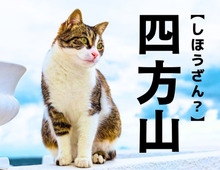 【四方山】なんて読む？「しほうざん…？」ではありませんよ！【読めそうで読めない漢字クイズ】