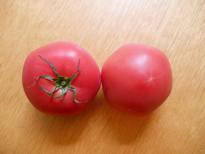 種が出ない〈トマトの切り方〉を検証してみた!もうサラダ、水っぽくなりません