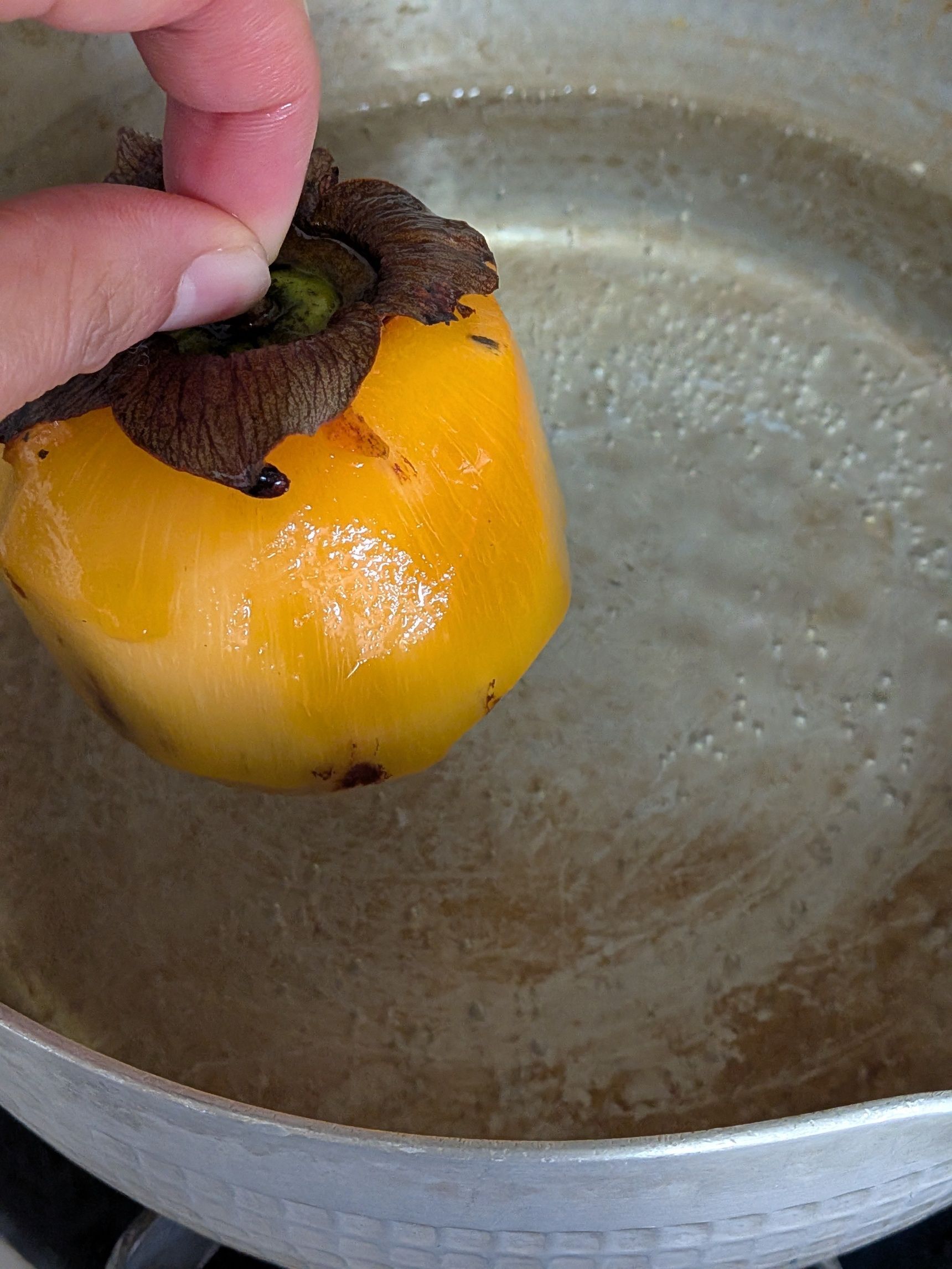 2. 沸騰したた〜っぷりのお湯に工程1を入れ、茹でる。（我が家のやり方です。このひと手間でカビづらくなります。）