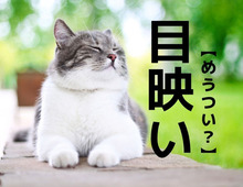 【目映い】なんて読む？「めうつい…？」ではありませんよ！【読めそうで読めない漢字クイズ】