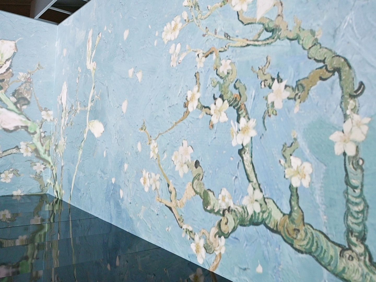 イマーシブ・コーナー