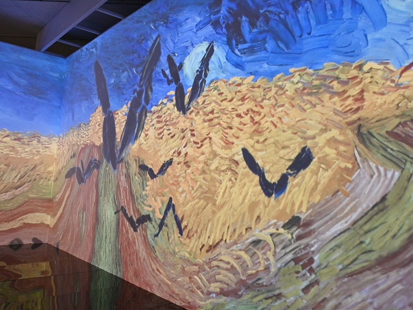 イマーシブ・コーナー