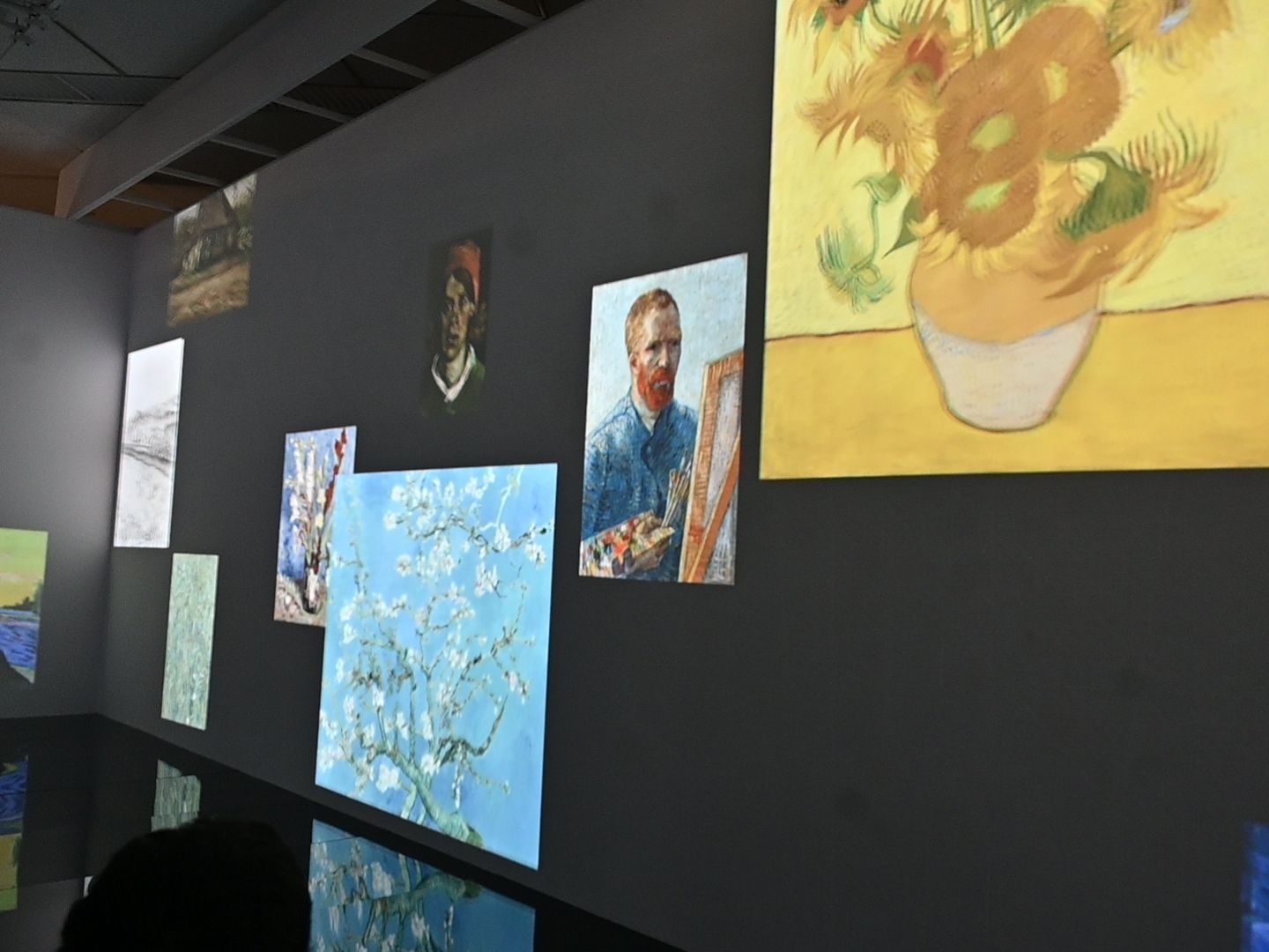 撮影可能なイマーシブ・コーナー