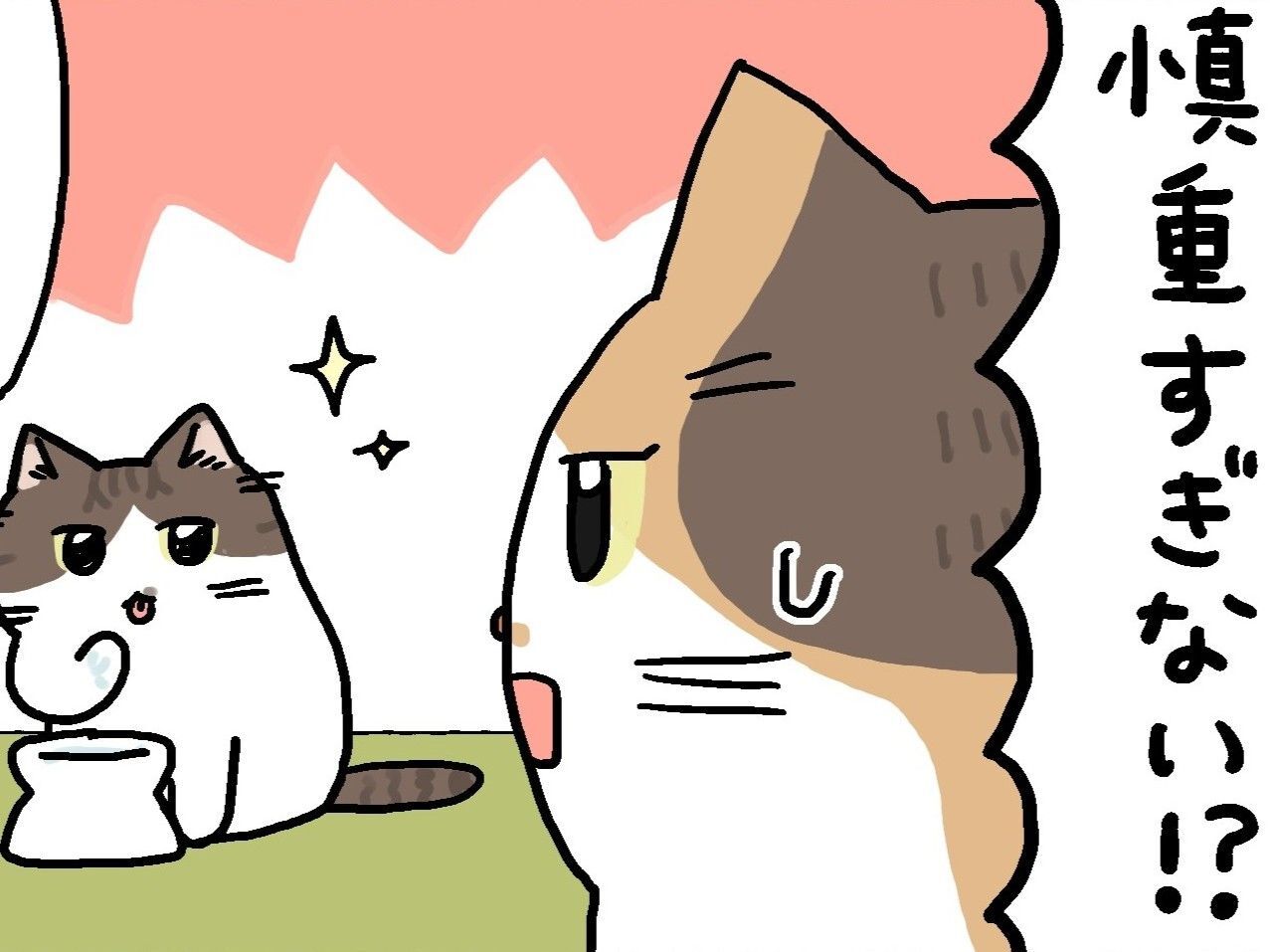 まーくんは慎重派。【てらねこミー子の日常】