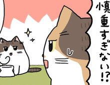まーくんは慎重派。【てらねこミー子の日常】