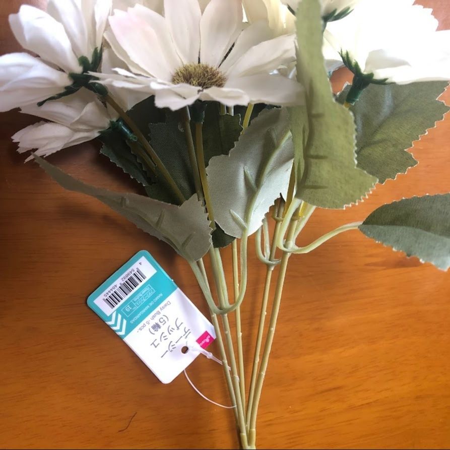 デージーブッシュ