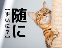 【随に】なんて読む？「ずいに」ではありませんよ。古文が得意な人なら一発でわかるかも！？【難読漢字クイズ】