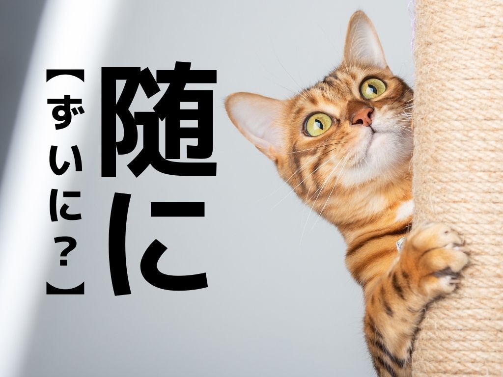 【随に】なんて読むか知ってる？「ずいに」ではありませんよ！【読めたらスゴイ！漢字クイズ】