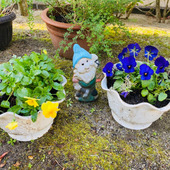 ガーデニング必見！冬越しと秋冬の衣替え