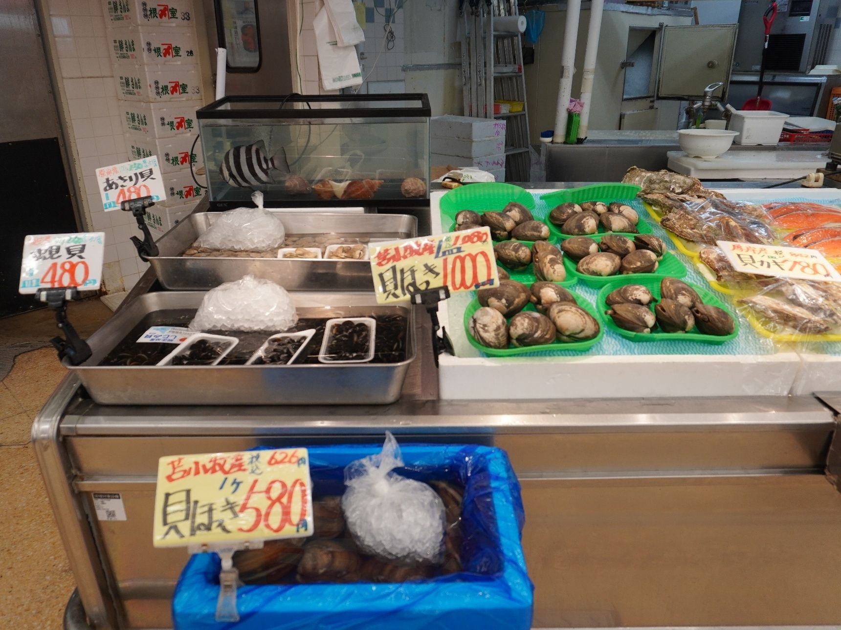 苫小牧産天然魚を探してみました！苫小牧産といえば、ほっき貝！