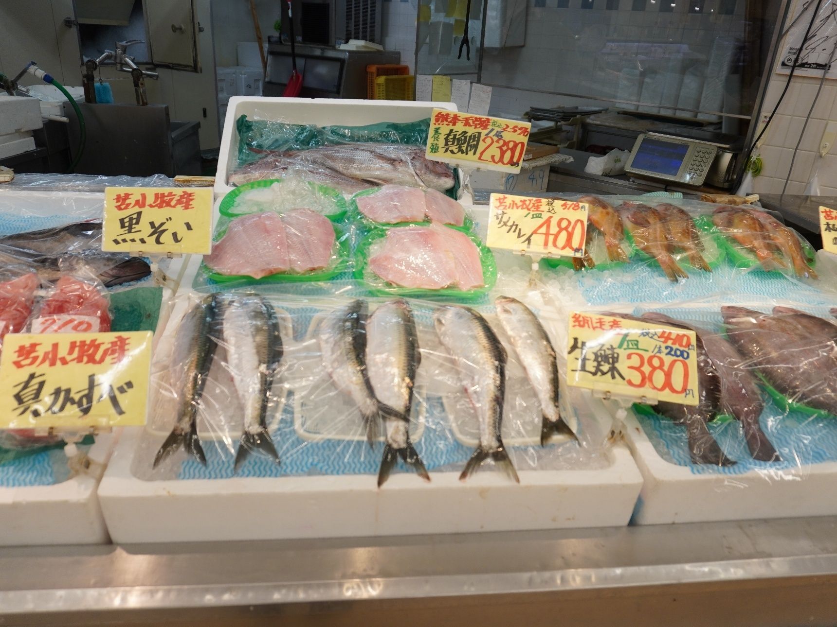 苫小牧産黒ソイ、真かすべ、さめがれいなどがありました