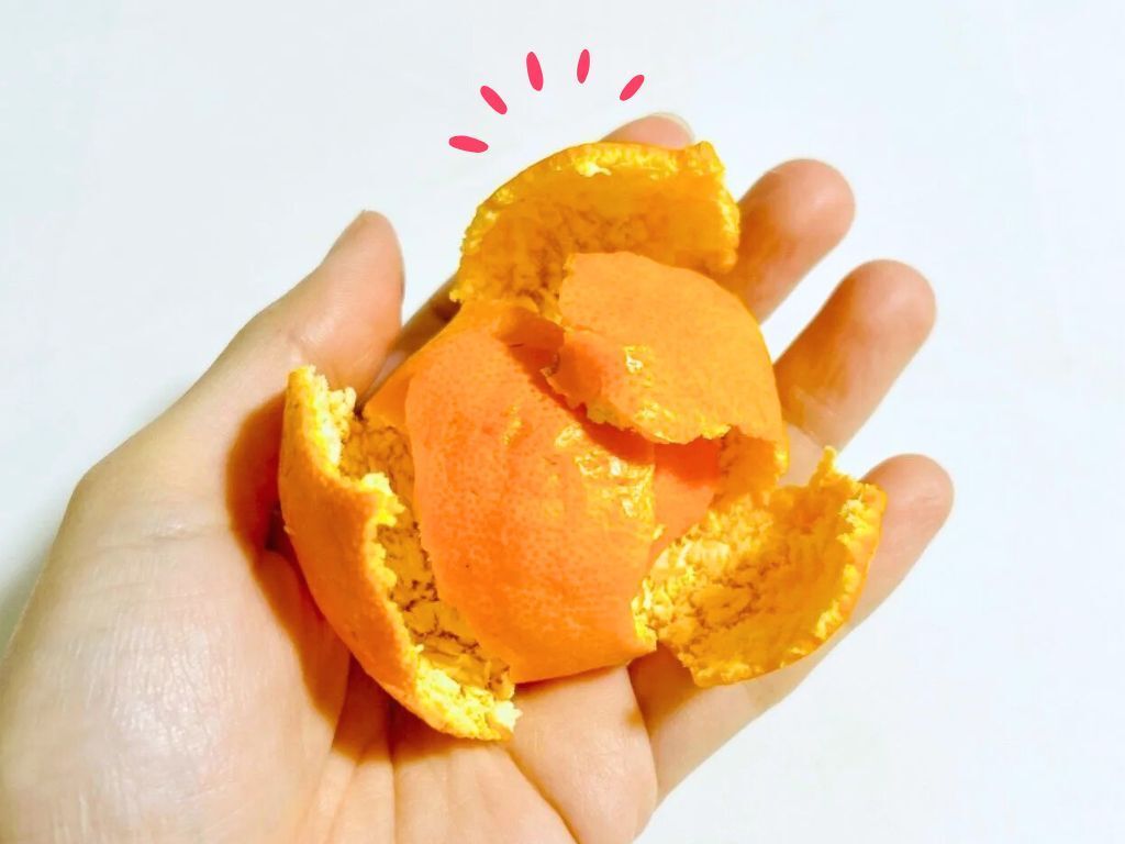 みかんの皮、捨てちゃダメ！まるで売り物。とってもオシャレでいい香りのインテリア雑貨になるんです♡
