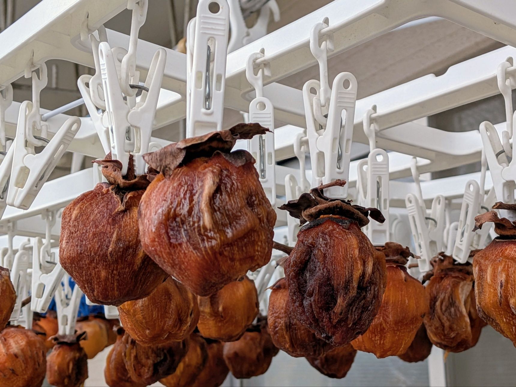 洗濯ピンチハンガーは干し柿に適してる！毎年やってて気づいたポイント沢山紹介します。