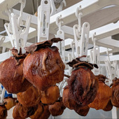 洗濯ピンチハンガーは干し柿に適してる！毎年やってて気づいたポイント沢山紹介します。