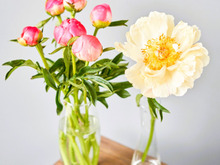 11月29日（土）今日はやっかい事もスムーズに進む超幸運日！午前中にやっておくといいことが！