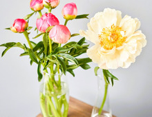 11月29日（土）今日はやっかい事もスムーズに進む超幸運日！午前中にやっておくといいことが！