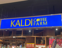 【カルディ】うたい文句を信じたら大当たり！誰でも大人気店の味に『万能タレ』がウマすぎた。